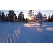 Svorkmo/NOI arrangerer Barnas Ski-VM 24. februar