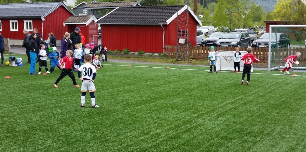 6aringene4 Lokkencup15