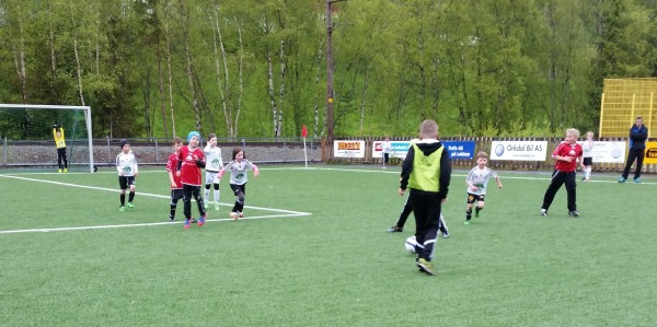 7aringene Lokkencup15