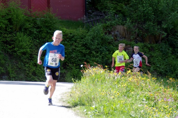 L Svorkdal